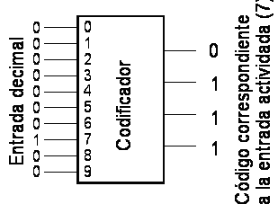 Representación teórica