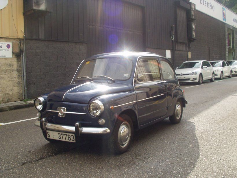 P1010056_gallery.jpg