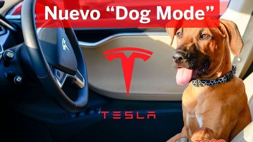 Nuevo &quot;Dog Mode&quot; que ha implantado Tesla en sus vehículos