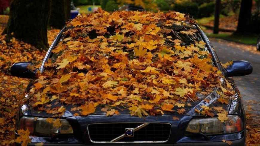 ¿Sabes qué debes revisar si tu coche lleva mucho tiempo parado?