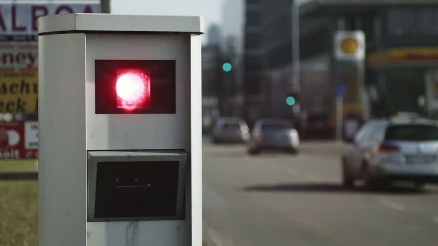 Un radar ha multado a una paloma por exceso de velocidad en Alemania