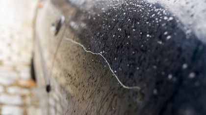 Aunque suene como una broma, la ciudad costera se ha puesto de cabeza por un...